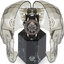 <p>Miniatura</p>: 