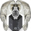 <p>Miniatura</p>: 