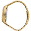 <p>Miniatura</p>: 