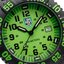 <p>Miniatura</p>: 