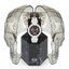 <p>Miniatura</p>: 