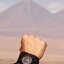 <p>Miniatura</p>: 