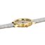 <p>Miniatura</p>: 
