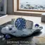 <p>Miniatura</p>: 
